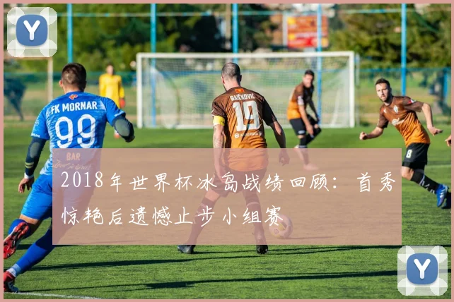 2018年世界杯冰岛战绩回顾:首秀惊艳后遗憾止步小组赛