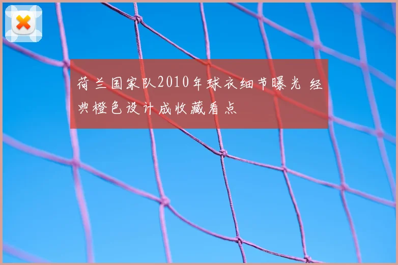 荷兰国家队2010年球衣细节曝光 经典橙色设计成收藏看点