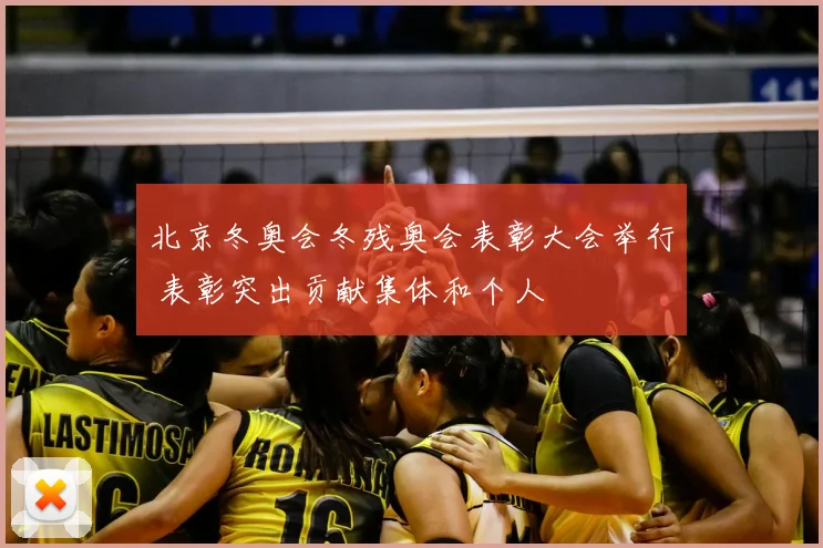 北京冬奥会冬残奥会表彰大会举行 表彰突出贡献集体和个人