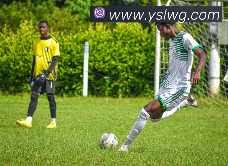 必一运动体育官网品牌故事